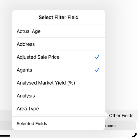 Filter-Editfields.jpg