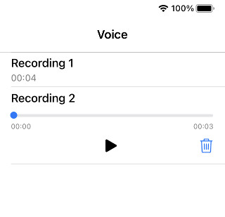 Audio-details.jpg